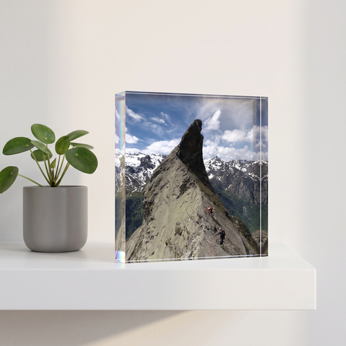 5x5 Square — block on shelf with plant, home example